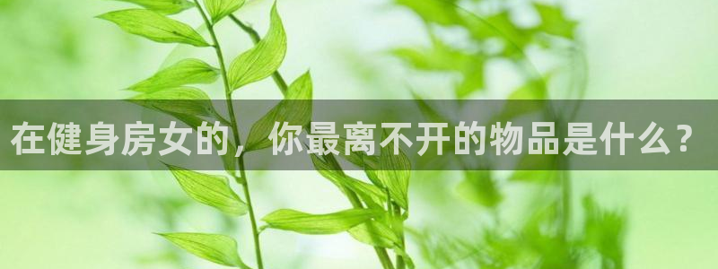凯捷体育官方平台