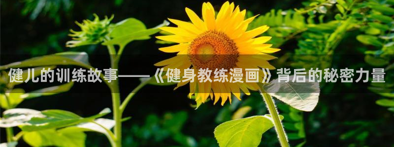 凯捷体育娱乐