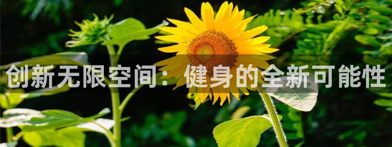 凯捷体育官方平台
