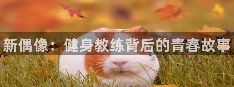 凯捷体育注册