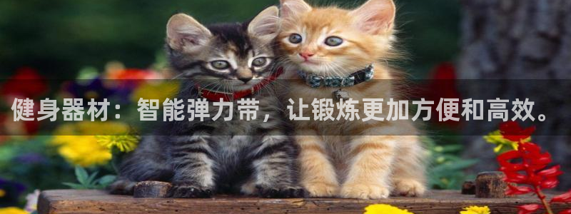 凯捷体育官网